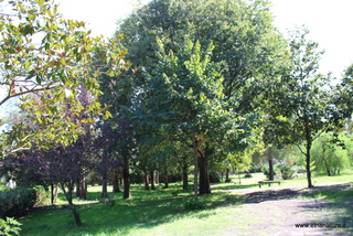 Parco Angelo D Arrigo